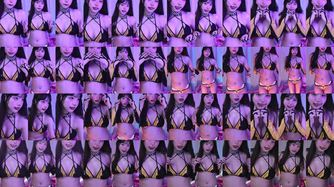 세계（world1104）260206