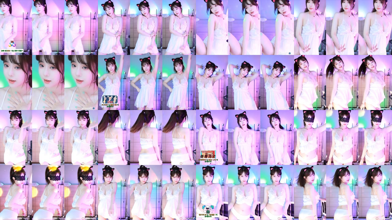 재희。（crazycatsss）230413