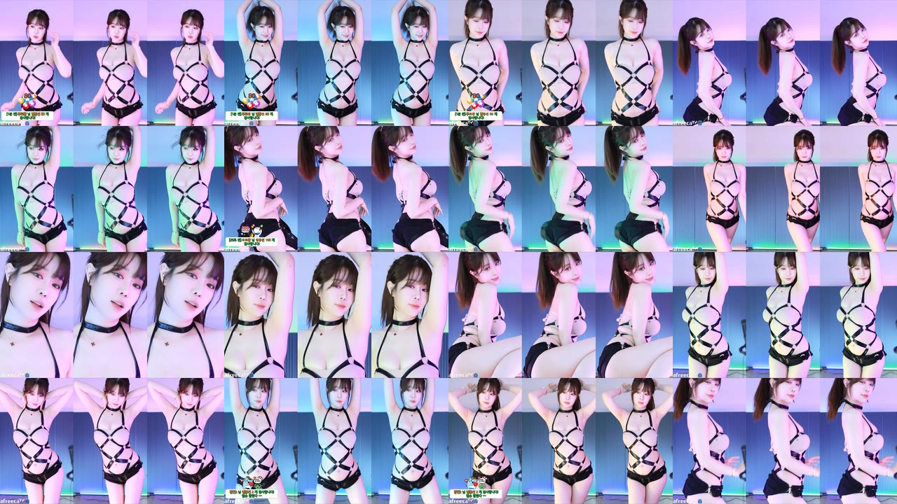 재희。（crazycatsss）230503