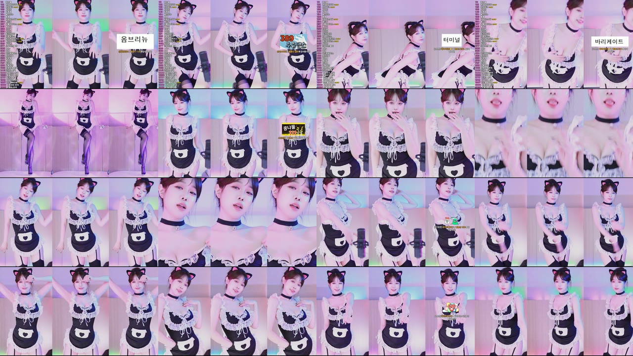 재희。（crazycatsss）250313