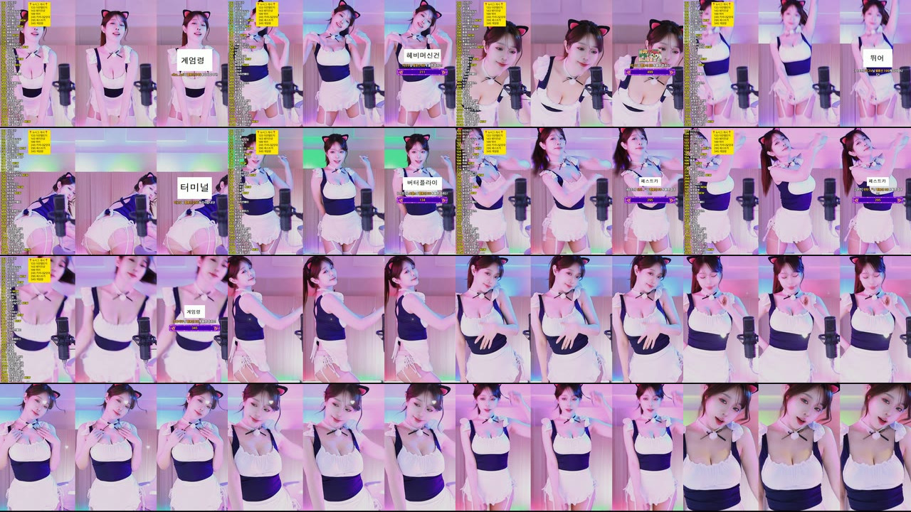 재희。（crazycatsss）260211