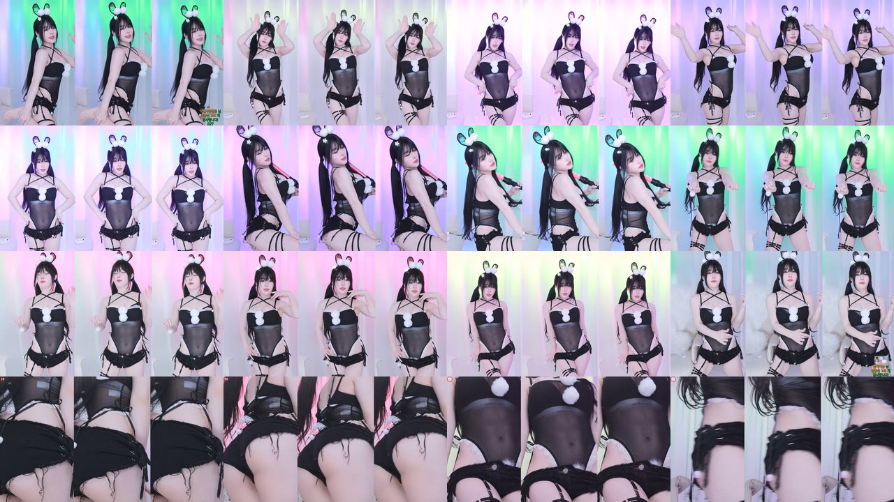 하냥이♥（olison）240713