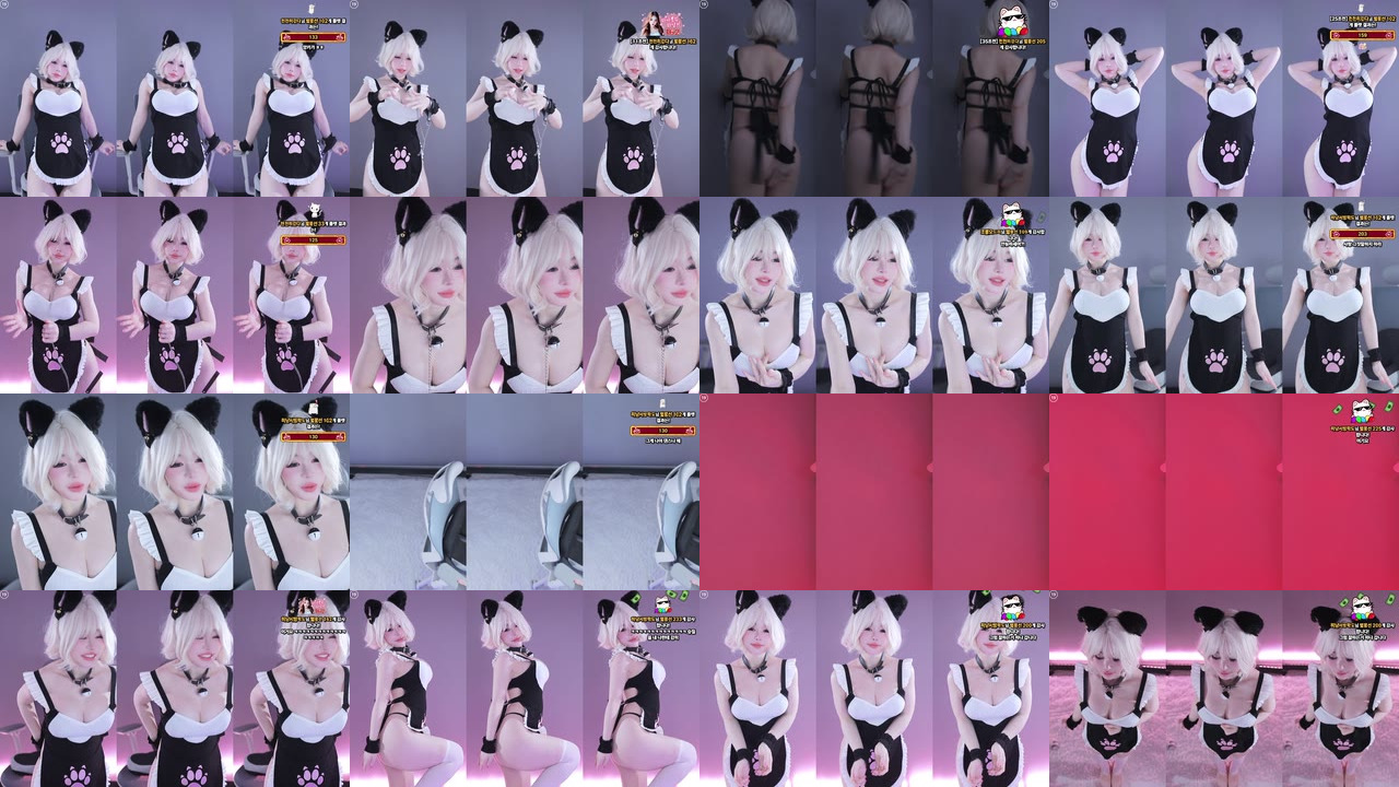 하냥이♥（olison）260223