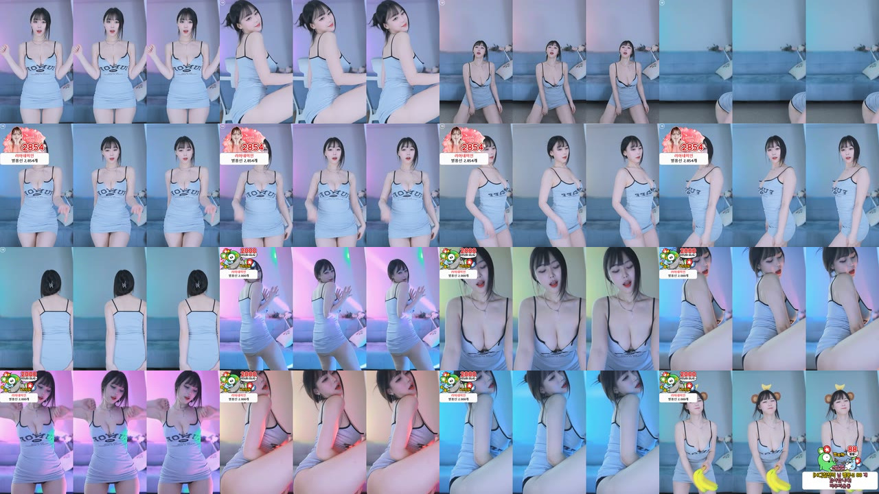 효카（purelove2）241202