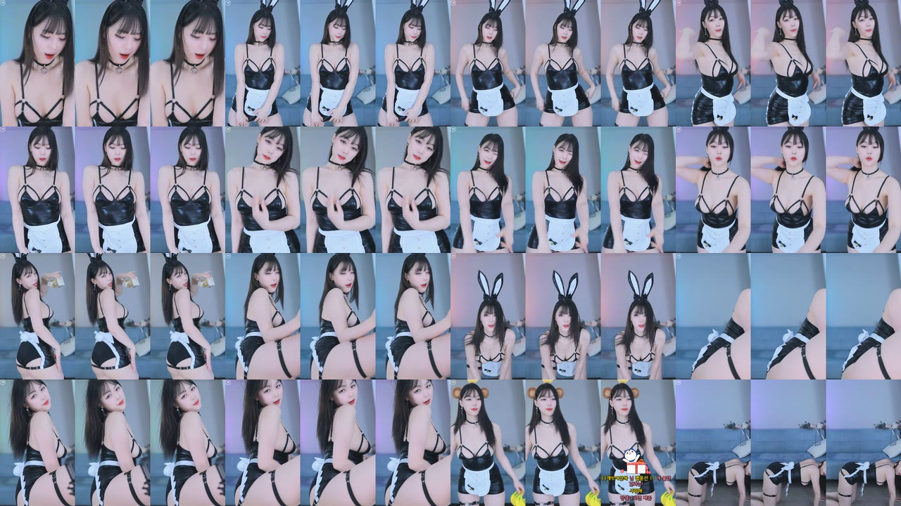 효카（purelove2）241209