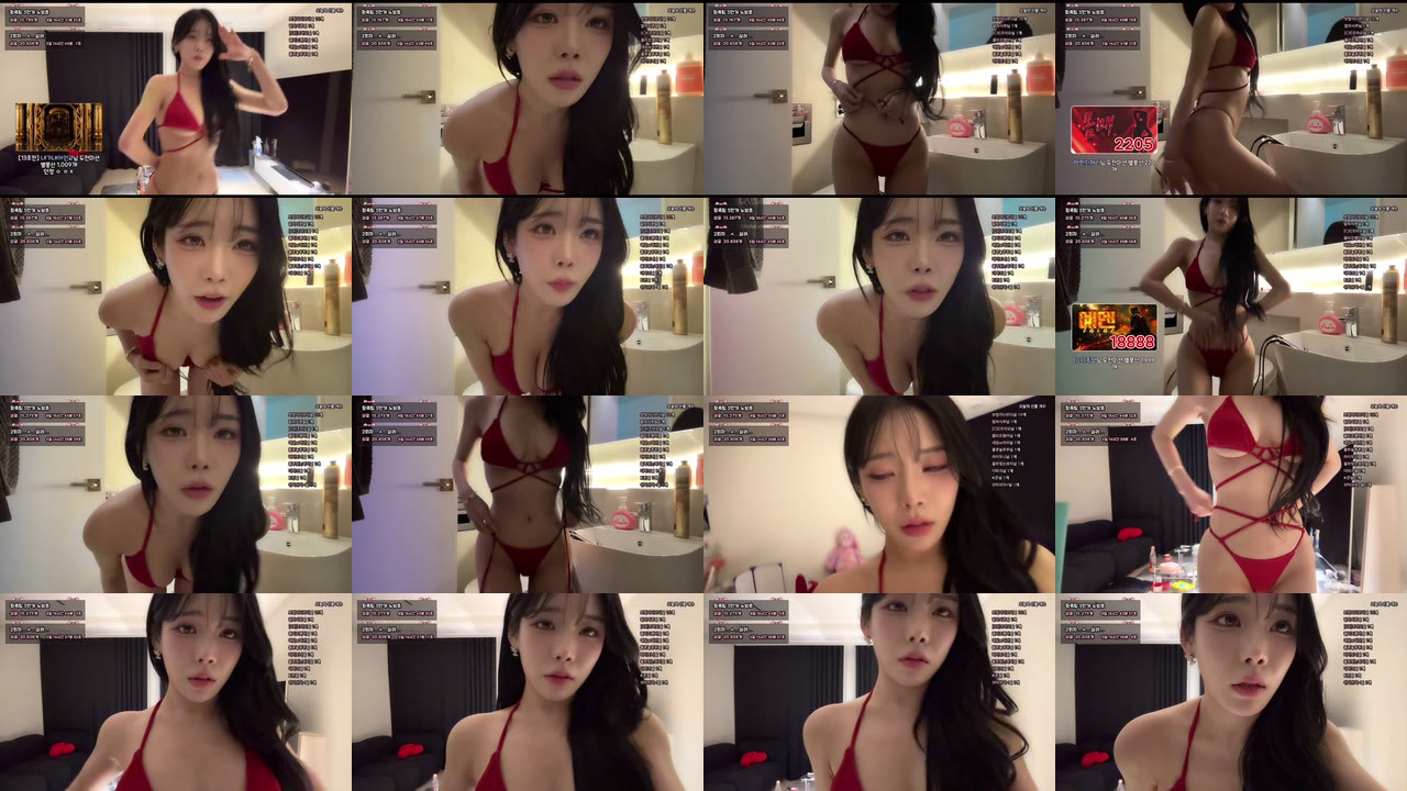 채리（lcy011027）260109